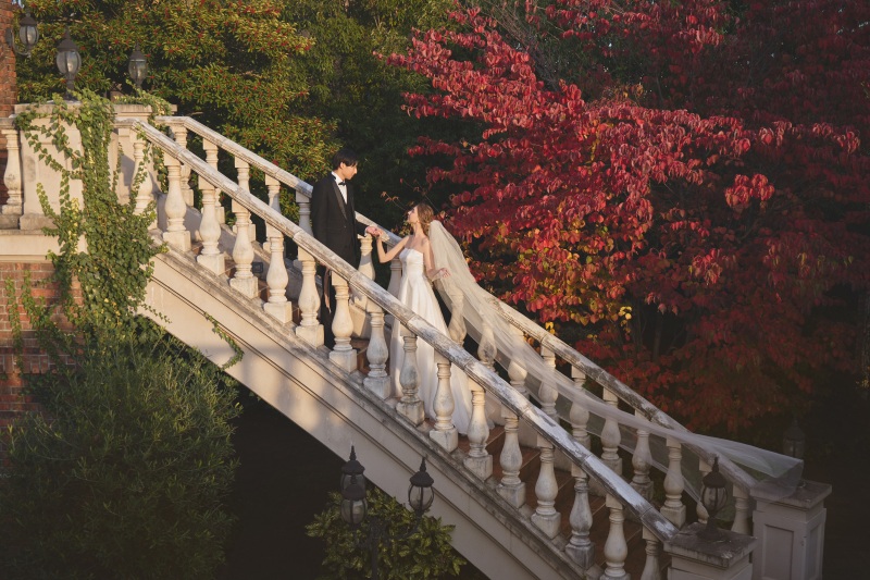 木々に囲まれて