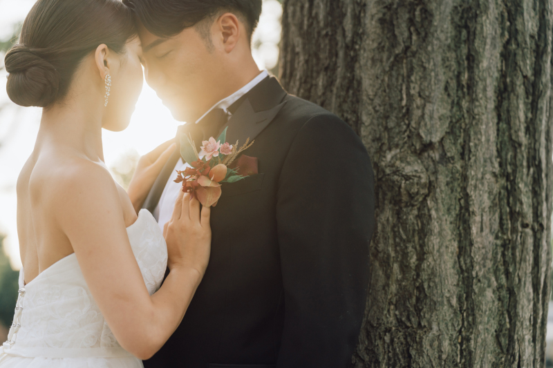 イメージカットも