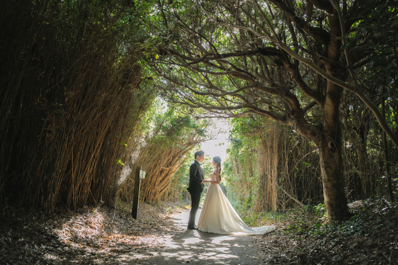 まずは緑の中で