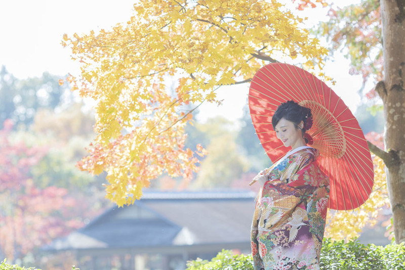 紅葉している葉の影が