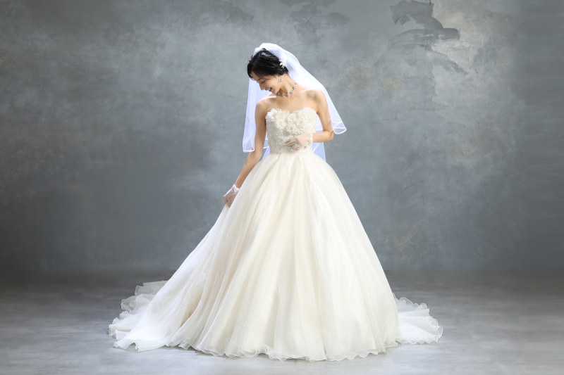 ドレスを持って