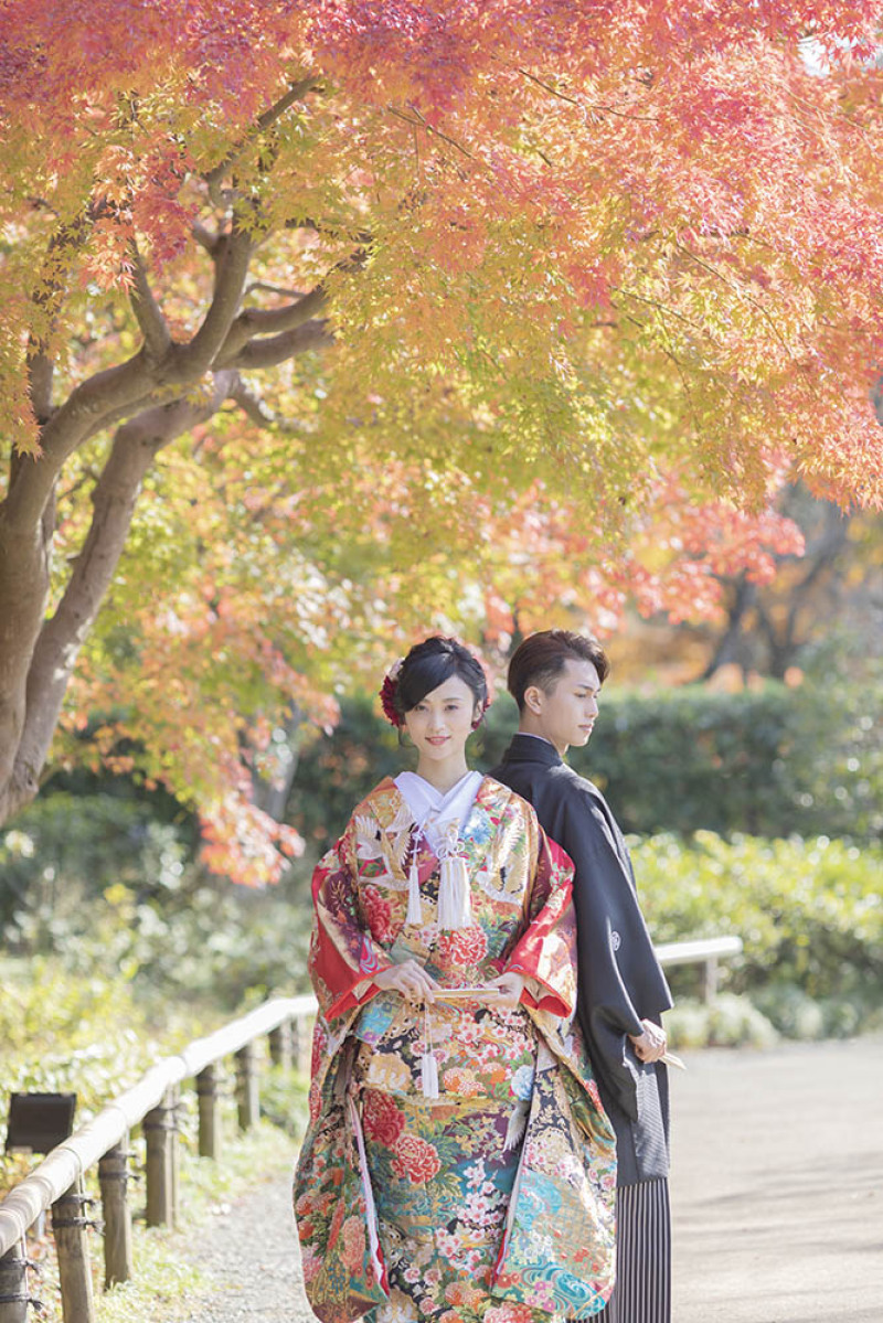 紅葉のグラデーションが綺麗