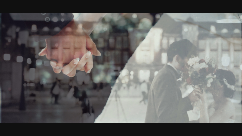 Shirafuji Photo Wedding_動画を作れる