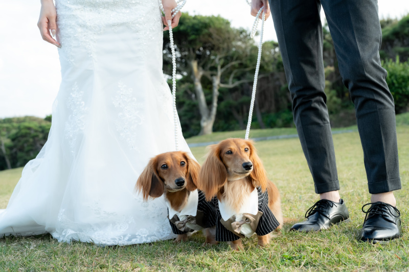 Point1 多彩な撮影シーン