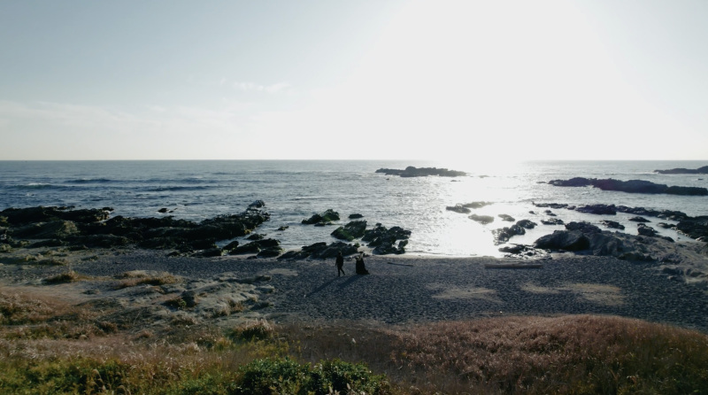 Point1 多彩な撮影シーン