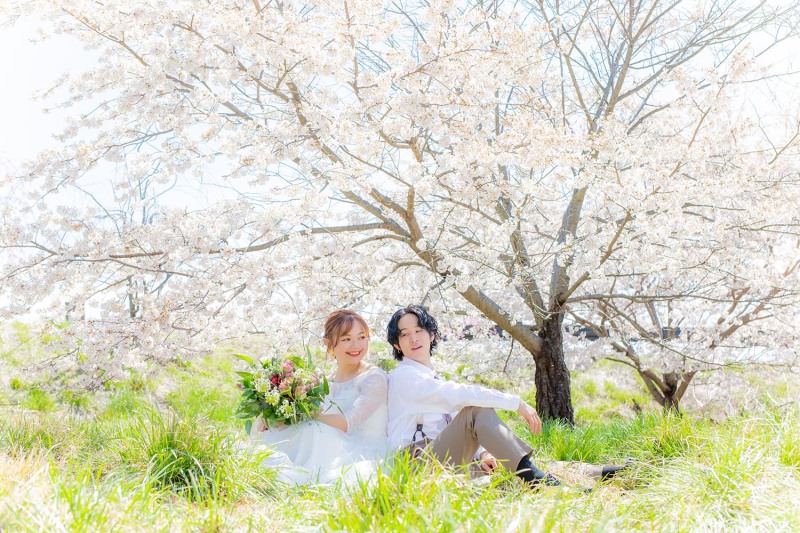 桜の時期の撮影です