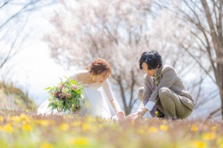 タンポポが一面にある丘での撮影でした