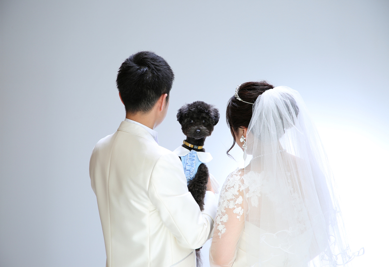 衣装 ヘアメイク付きで ペットと撮影できる洋装スタジオプラン ライティングで光と影をコントロールできるスタジオです