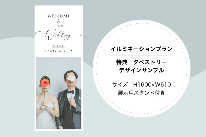 2月～4月平日撮影限定！タペストリー付きイルミネーションプラン★東京駅・丸の内ロケーション撮影★写真全データつき