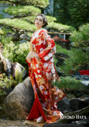 色打掛（KIYOKO HATA/KH-4014レッド)