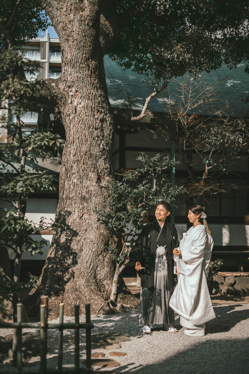 太陽に照らされて