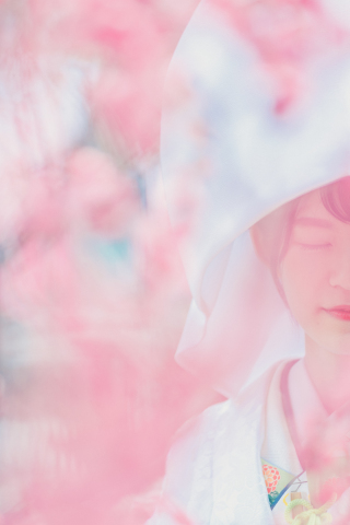 梅の花に囲まれて・・