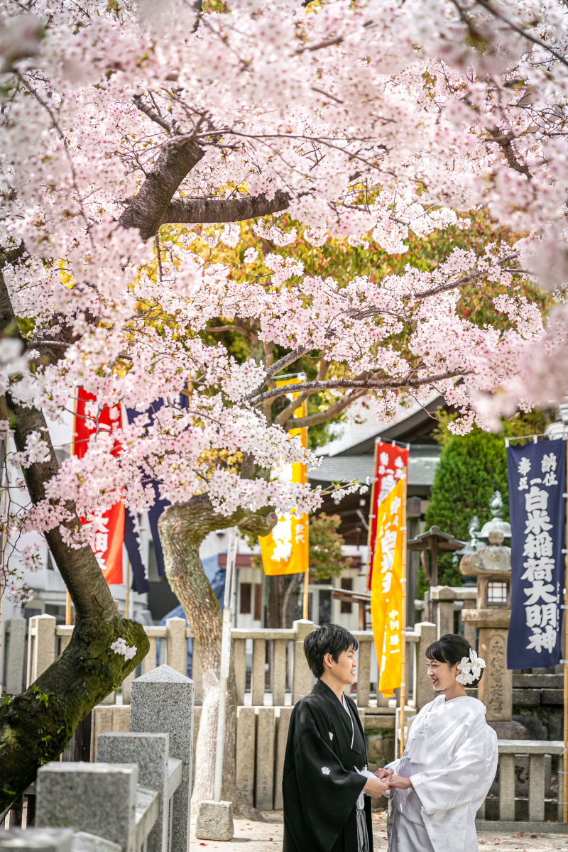 満開の桜の下で♪