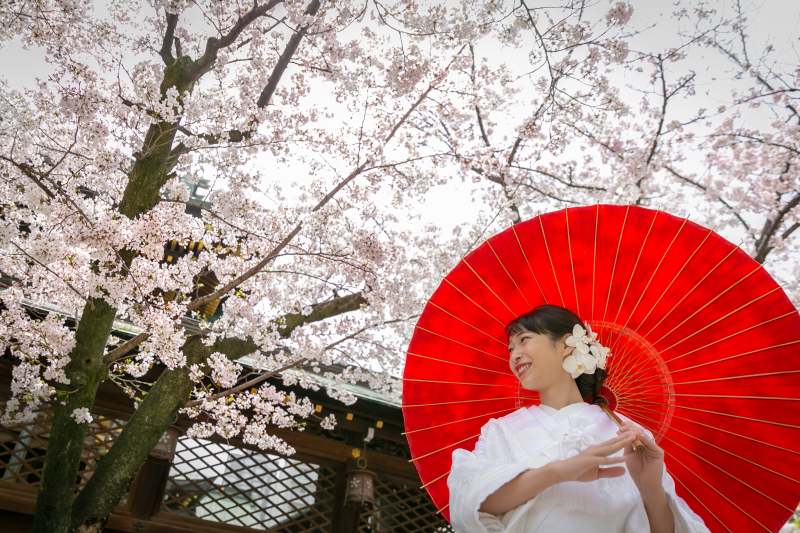 もうすぐ桜の時期ですね！