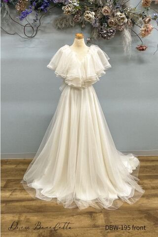 DBW-195