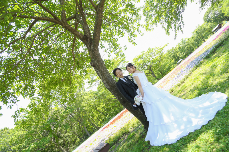 日差しが差し込む木陰