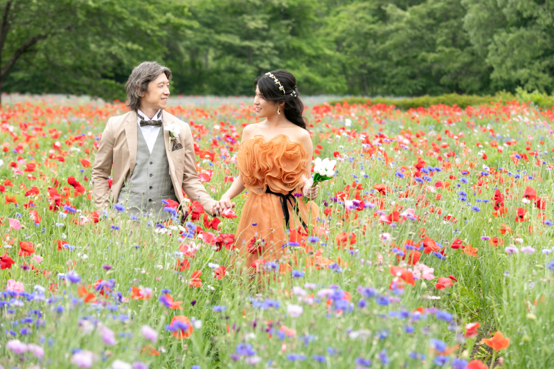 満開のポピー畑で