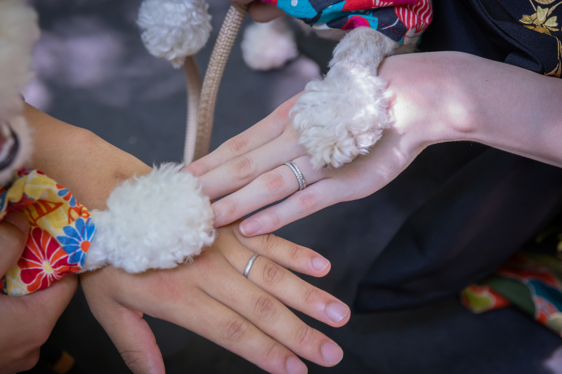 最後に家族全員で♡