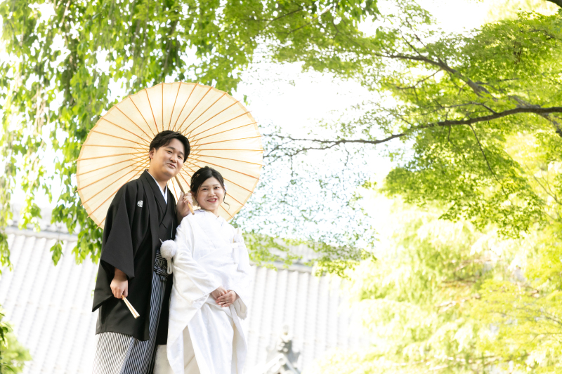 日差しが差し込む白の番傘で