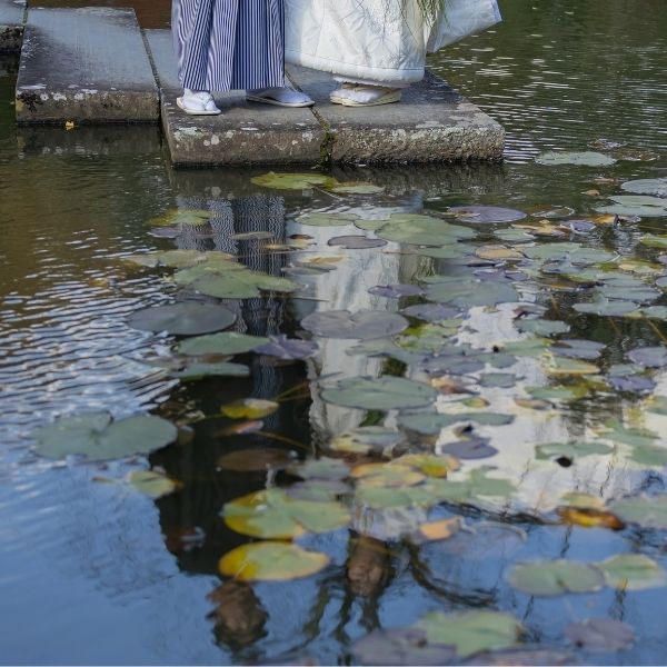 池の上で水面に写るおふたり