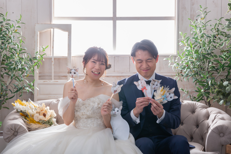 猫ちゃんとのフォトプロップス♪