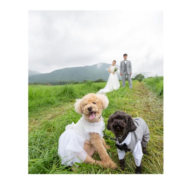 牧場ならではの可愛い記念写真♡