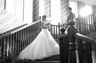 モノクロ加工(全データ)