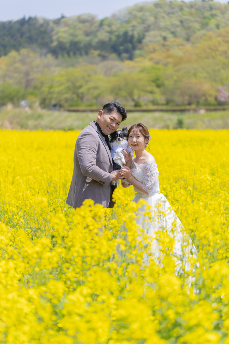 【花畑ロケ】国立みちのく湖畔公園ドレス+キモノプラン+データ200カット