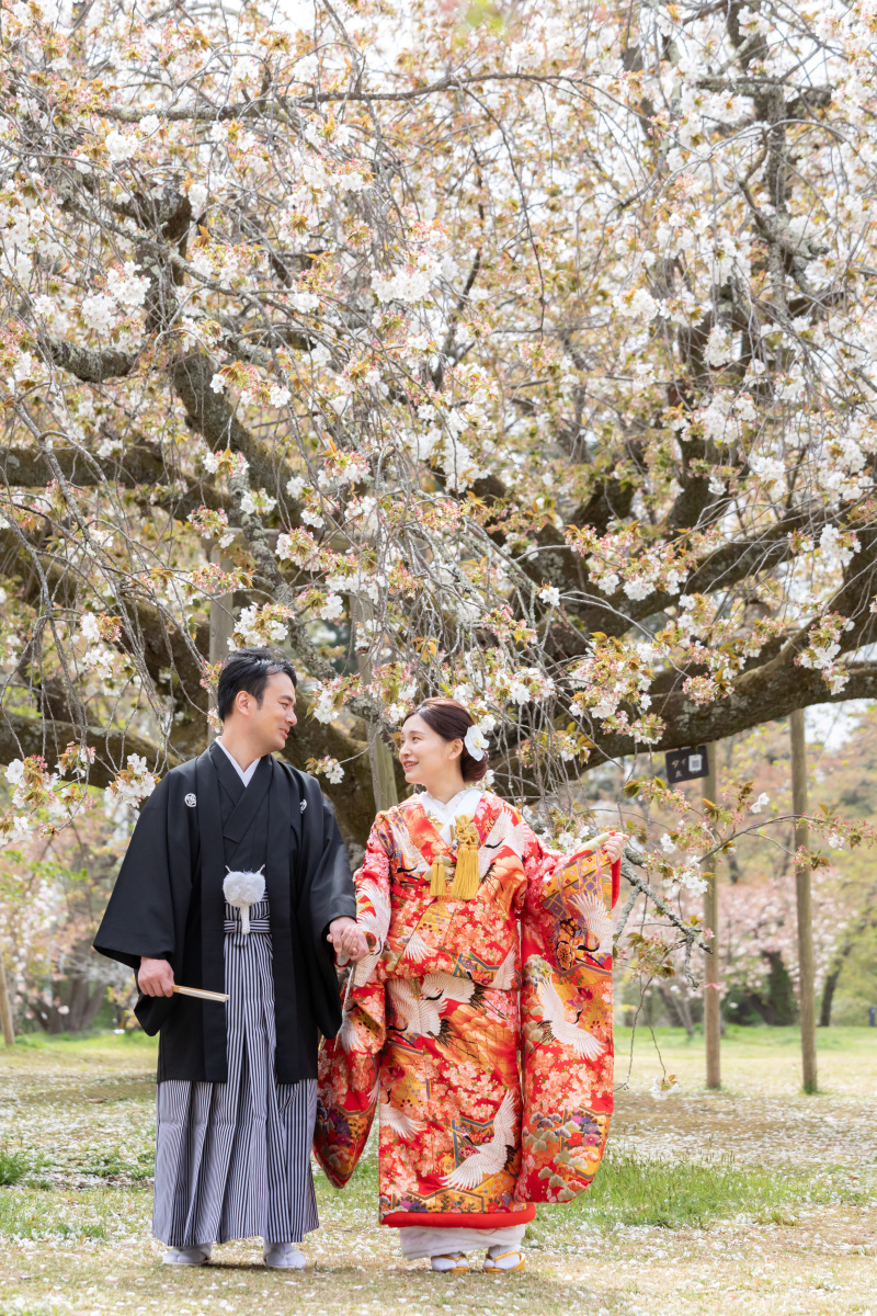 【期間限定】桜フォトプラン☆衣装追加なし+データ100カット