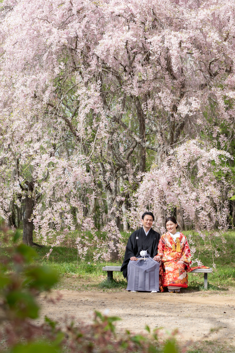 【期間限定】桜フォトプラン☆衣装追加なし+データ100カット