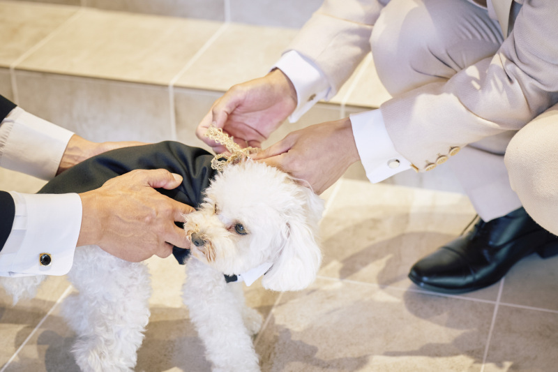 Point1 多彩な撮影シーン