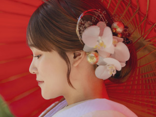 フォトスタジオ　オリーブの樹_Others
