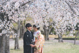 桜ロケーションと敷地内撮影を満喫