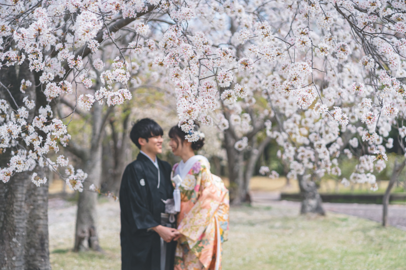 桜ロケーションと敷地内撮影を満喫