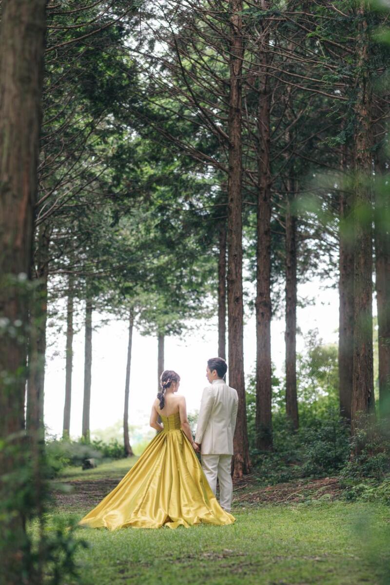 森林×カラードレス