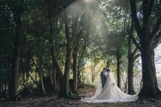 森林ロケーション撮影