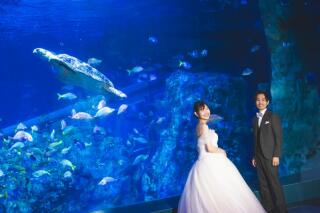 水族館フォト