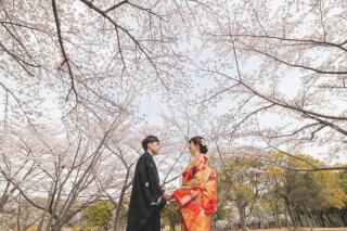 　桜×公園×大聖堂