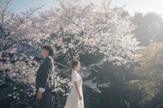 桜×森林×ドレス