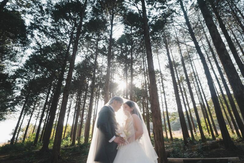 森林ロケーション撮影