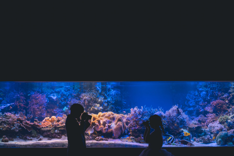 20以上ある撮影シーン