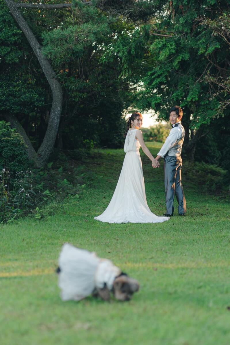 SUMMERプラン　高原ロケーションPLAN　＊オプション50％OFF！