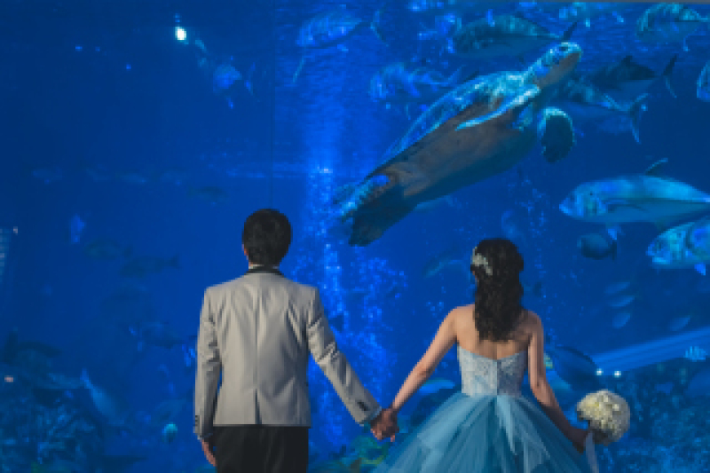【鳥羽水族館撮影プラン】ドレス×鳥羽水族館でのロケーション撮影