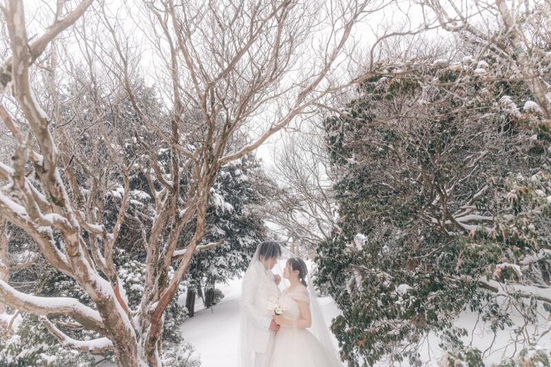 初春洋装オールインクルーシブプラン