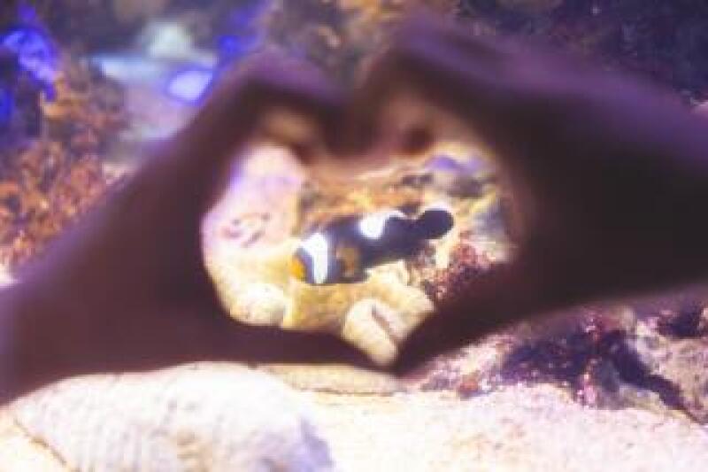 【鳥羽水族館撮影プラン】ドレス×鳥羽水族館でのロケーション撮影