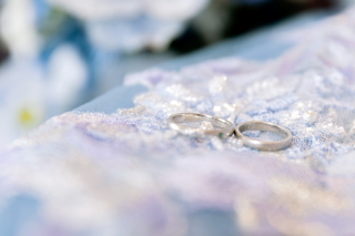 大好きなネコちゃんも☻