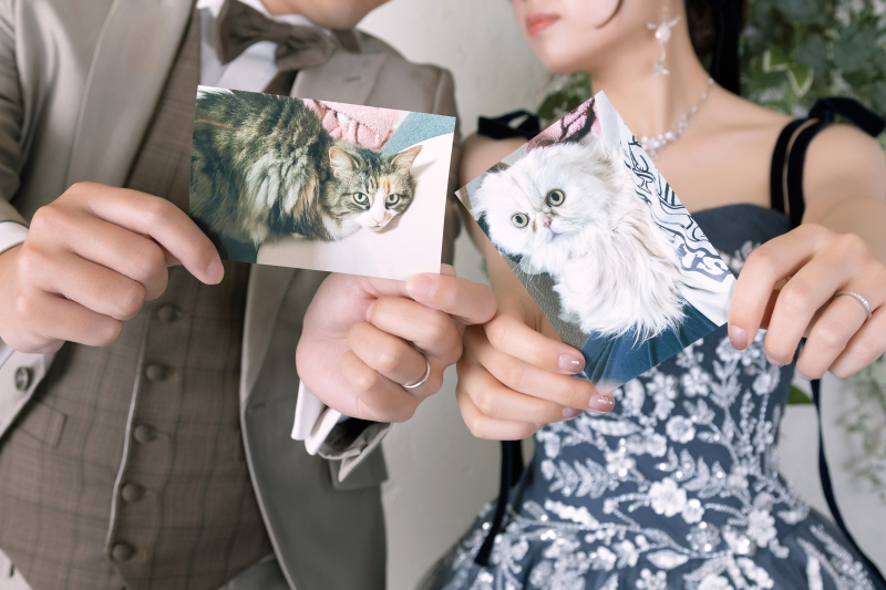 猫ちゃんたちと