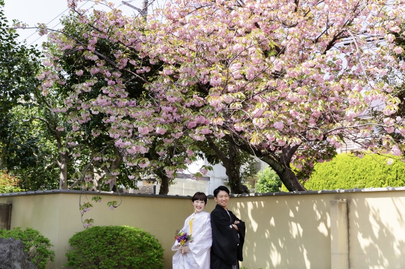 八重桜と一緒に✿
