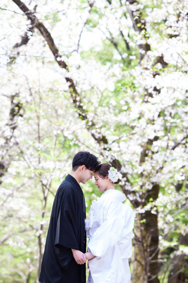 向き合い2