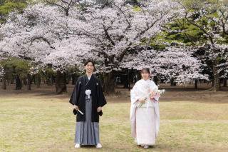 桜満開！代々木公園ロケーション♩